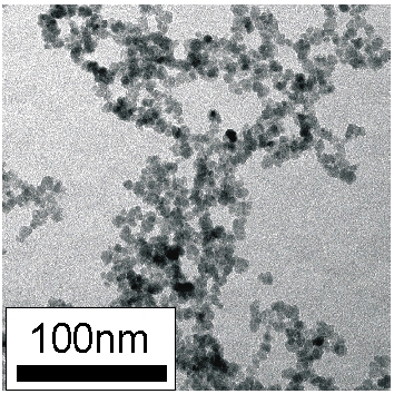 magnetite nanoparticles